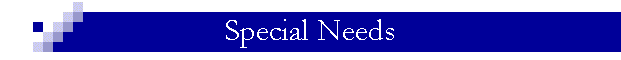Special Needs